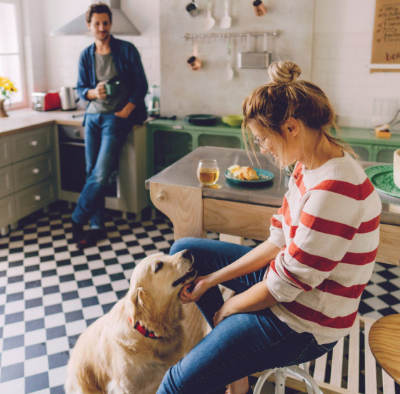 Vyras ir moteris leidžia laiką virtuvėje, žaisdami su šunimi. 