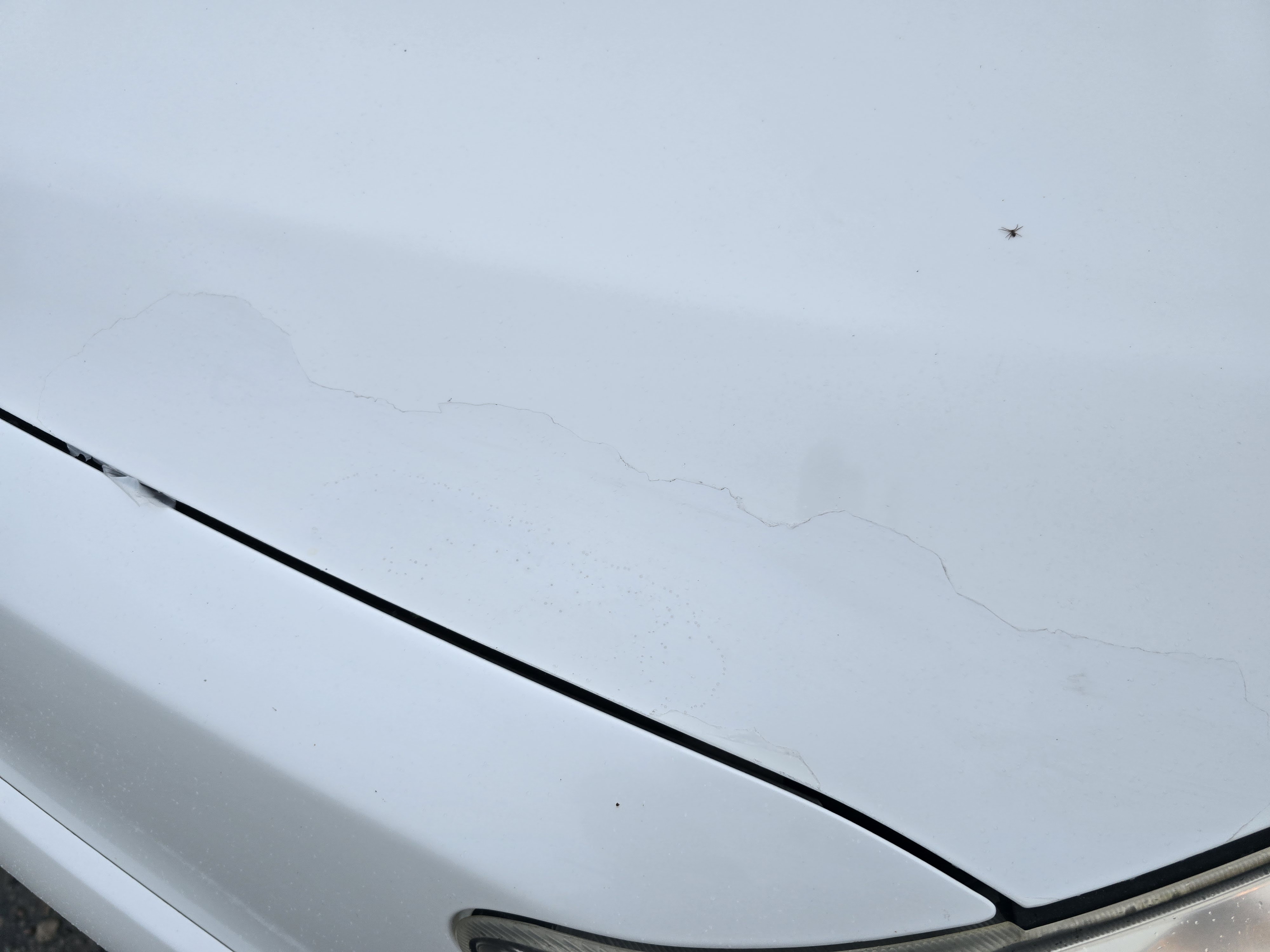 Lengvasis automobilis: Toyota RAV4