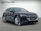 Car: Audi E-TRON 50