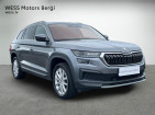 Lengvasis automobilis: Skoda Kodiaq